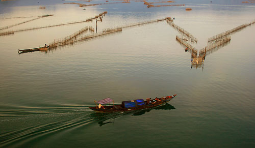 &Acirc;m hưởng đẹp tr&ecirc;n d&ograve;ng ph&aacute; Tam Giang